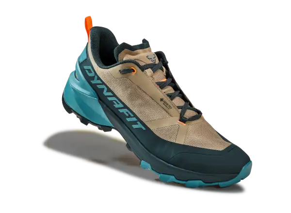 Dynafit Transalper 2 GTX men's running shoes Blueberry/Fallen Rock
