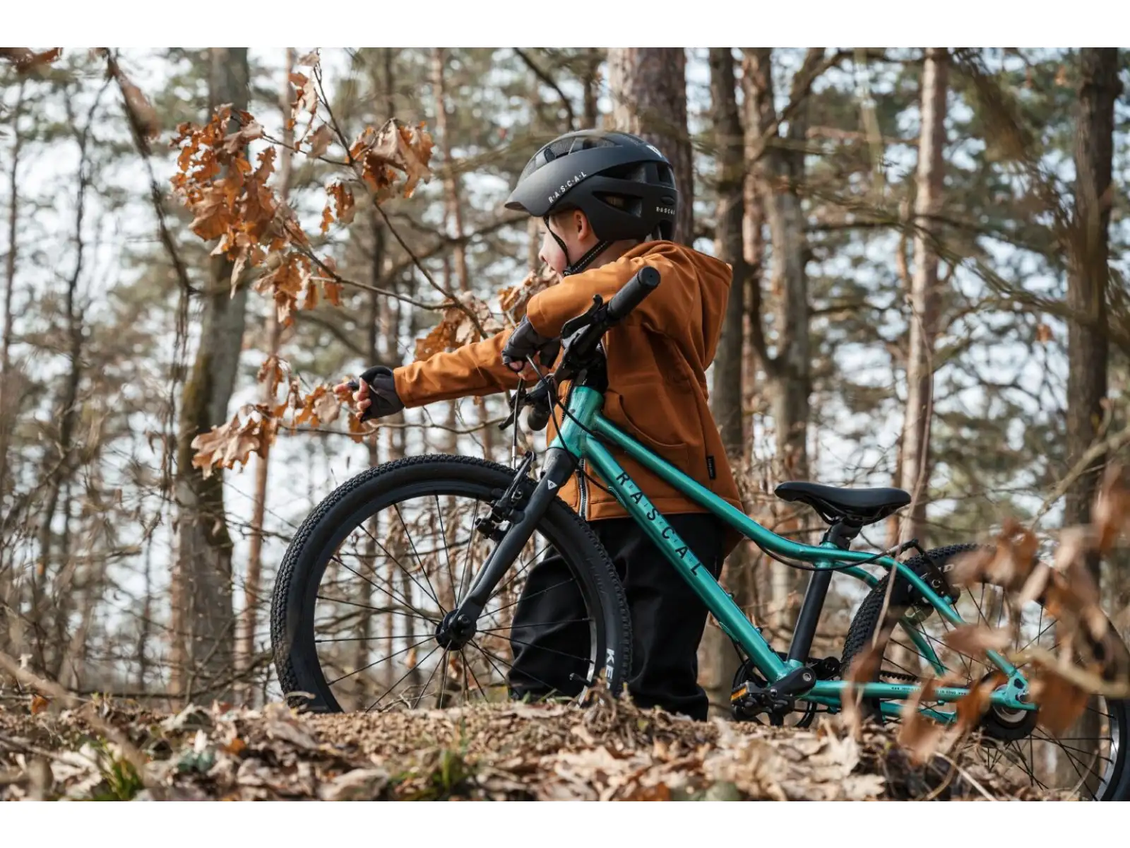 Rascal 20 Limited kids bike Emerald