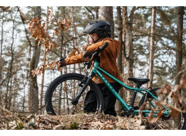 Rascal 20 Limited kids bike Emerald