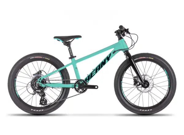 Beany Blaster XC 26 kids bike Mint