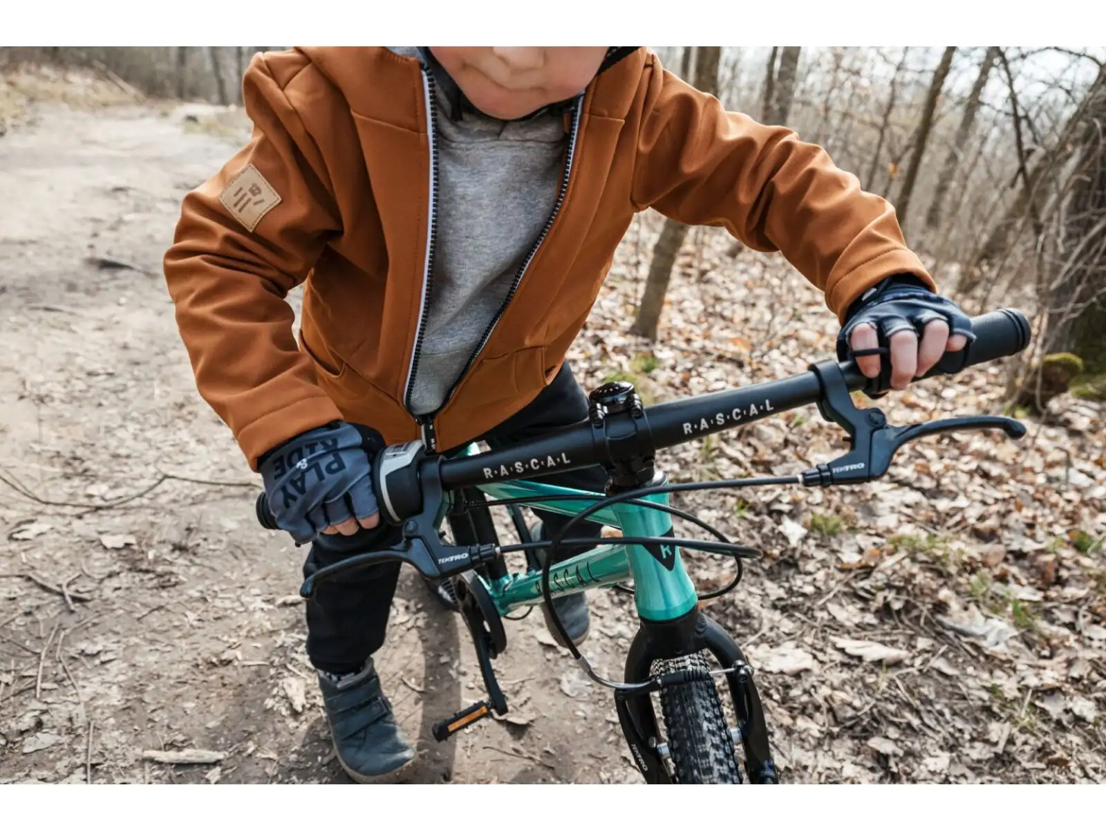 Rascal 20 Limited kids bike Emerald