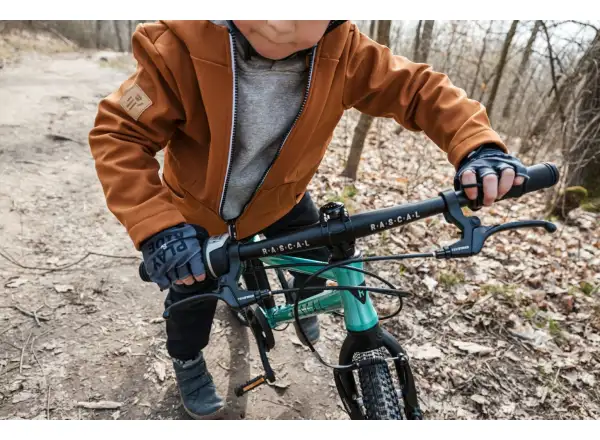 Rascal 20 Limited kids bike Emerald