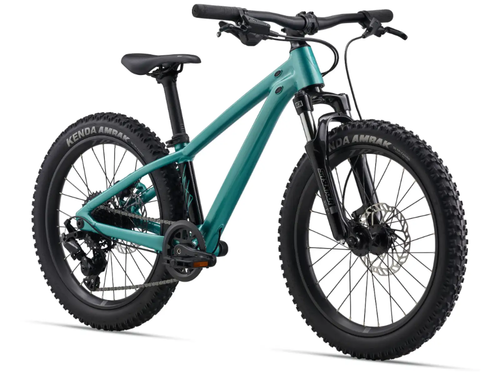 Giant STP 20 FS children's mountain bike Teal