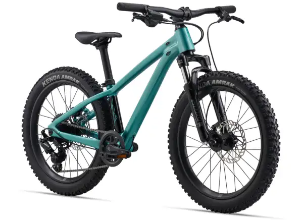 Giant STP 20 FS children's mountain bike Teal