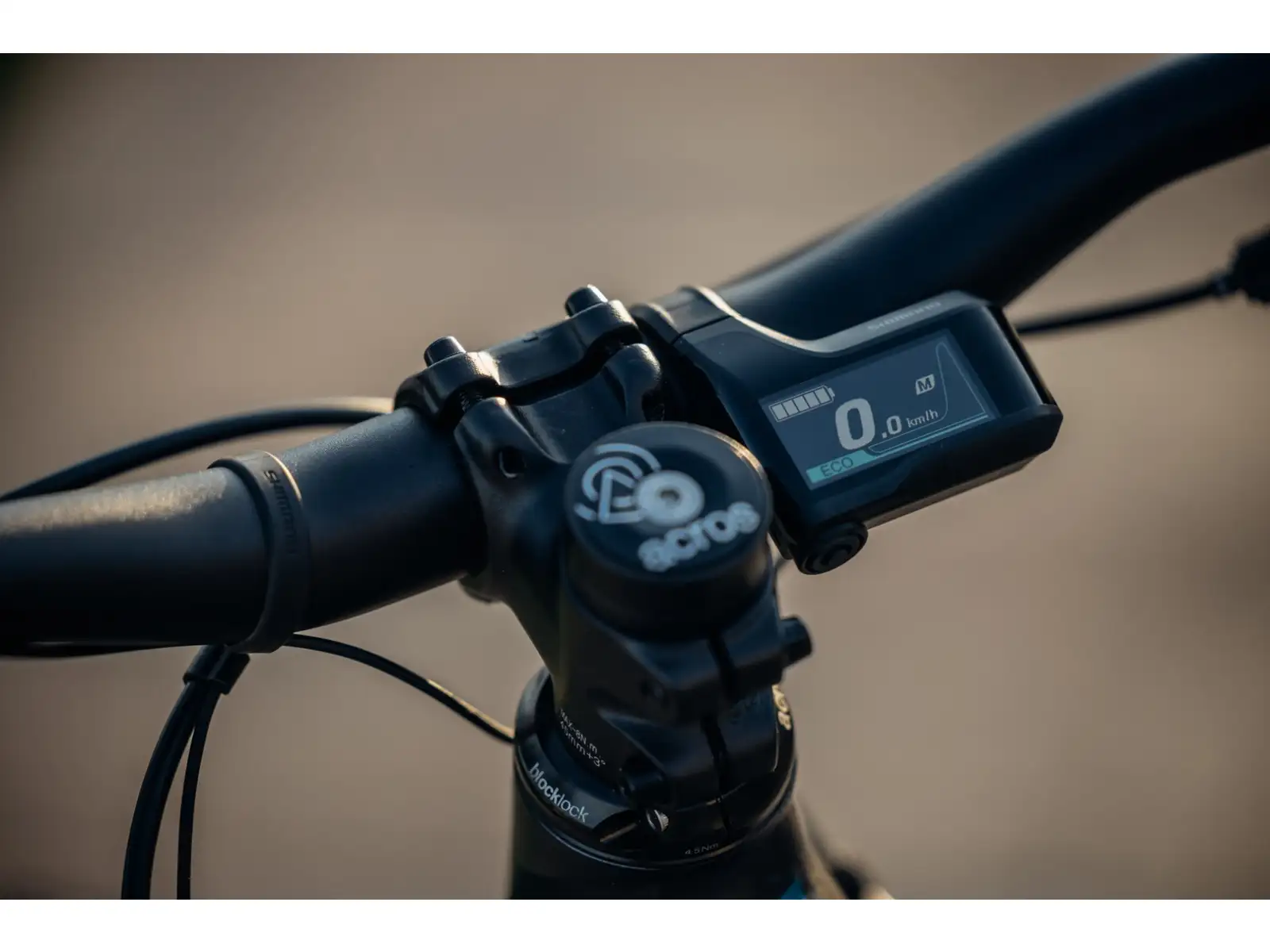 Rock Machine Torrent E90-29 Easy Entry mountain e-bike Petrol SAMPLE