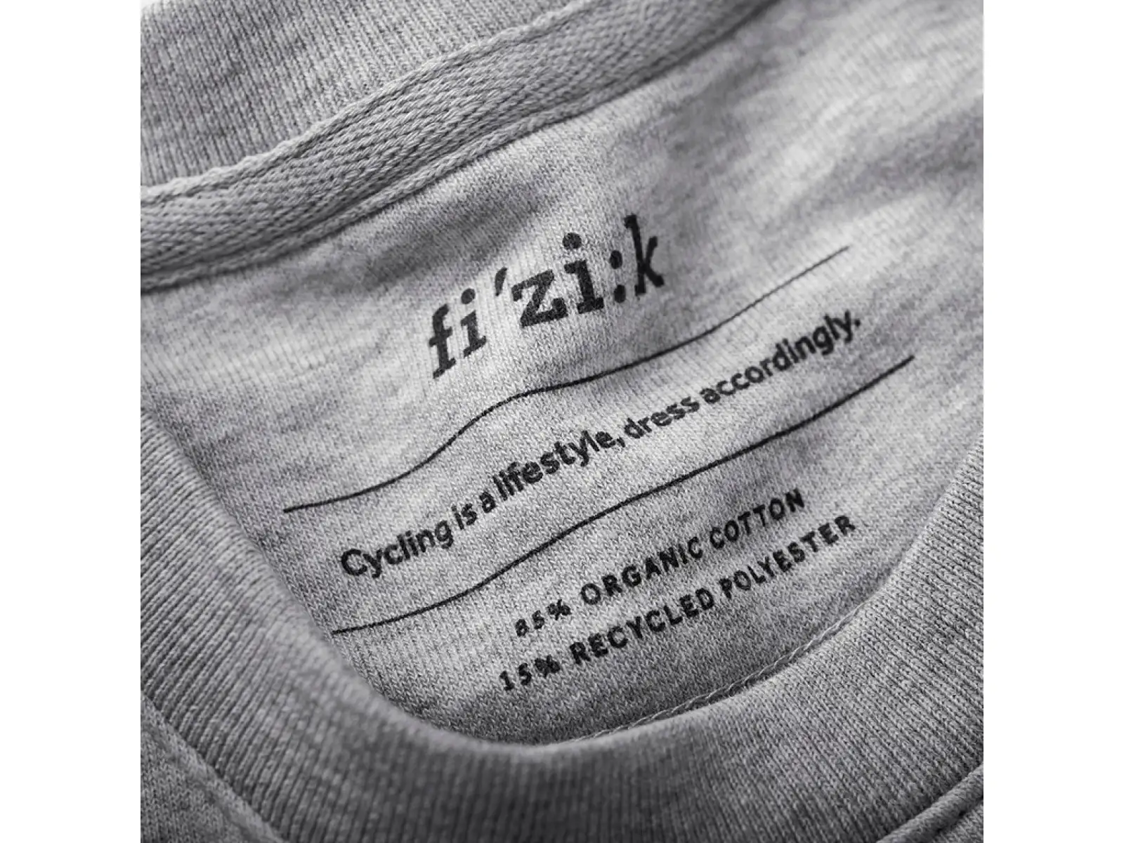 Fizik Logo hoodie Gray