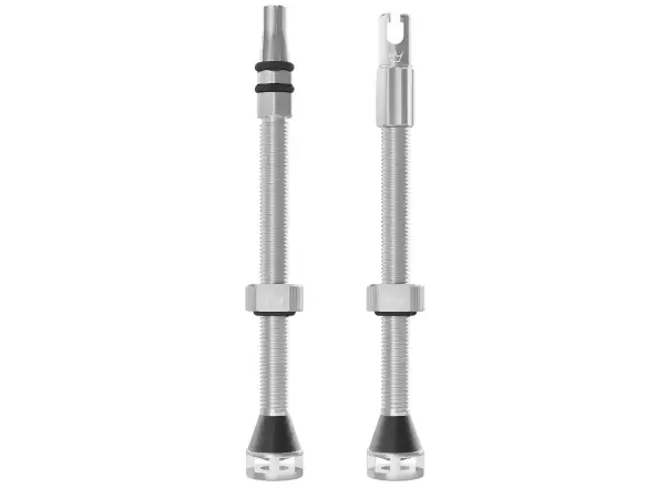 Peatys Holeshot Fast Flow tubeless valves 80 mm Silver