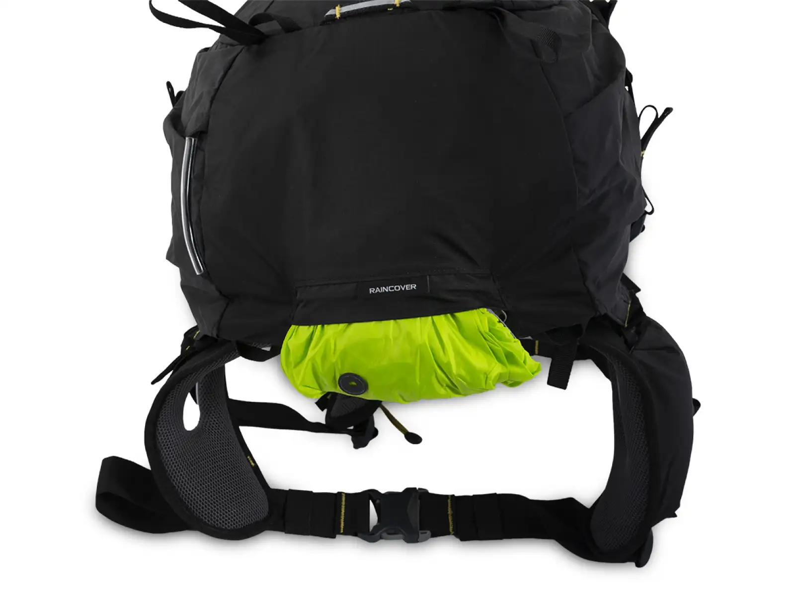 Pinguin Trail 42 Backpack green