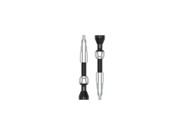 Lezyne CNC TLR tubeless valves 44 mm silver