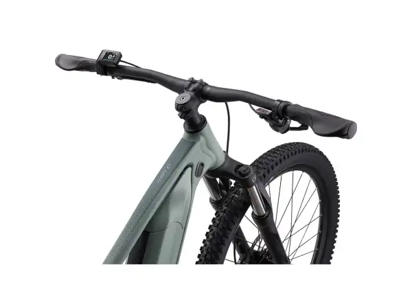 Liv Tempt E+ 3 mountain e-bike eucalyptus