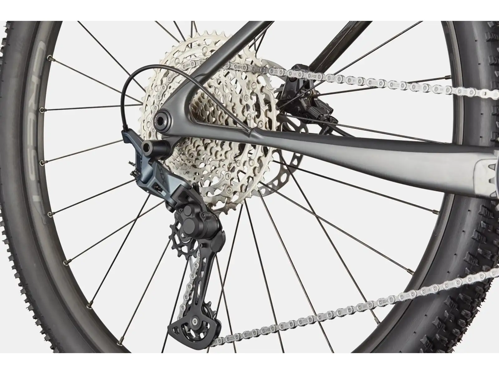 Cannondale Scalpel HT Carbon 2 mountain bike Tiger Eye