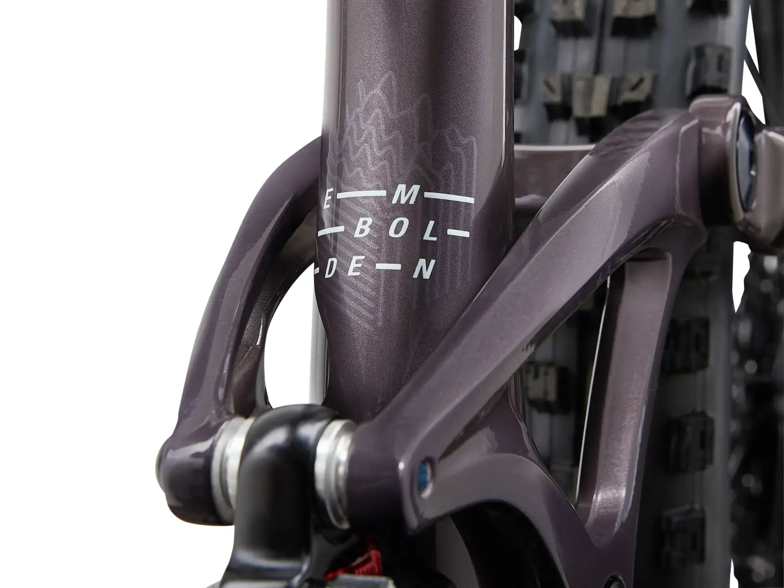 Liv Embolden 29 1 women's mountain bike Charcoal Plum