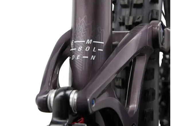 Liv Embolden 29 1 women's mountain bike Charcoal Plum