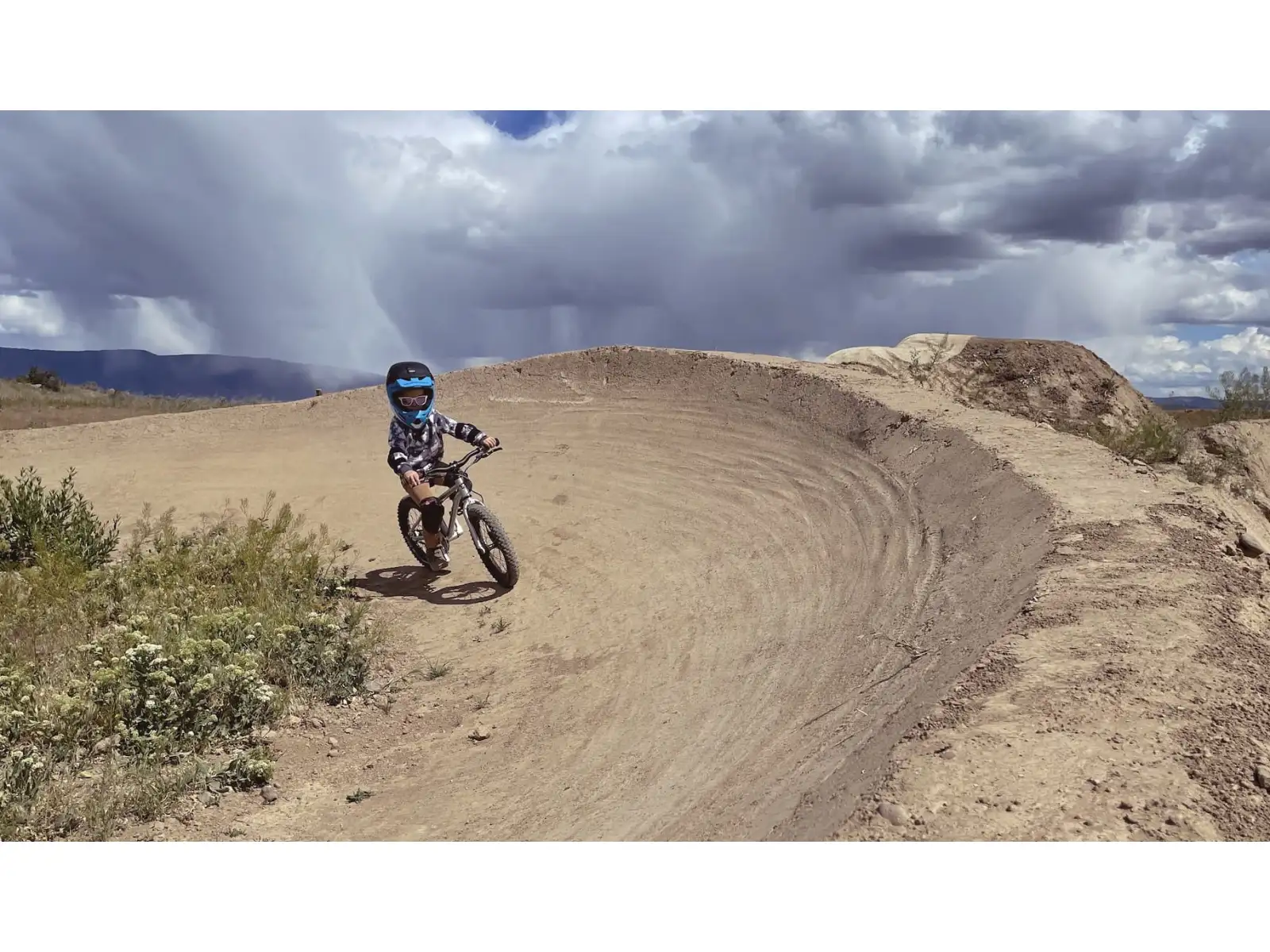 Early Rider Seeker X16 kids bike Violet Haze