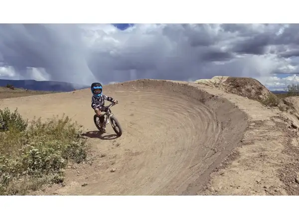 Early Rider Seeker X16 kids bike Violet Haze