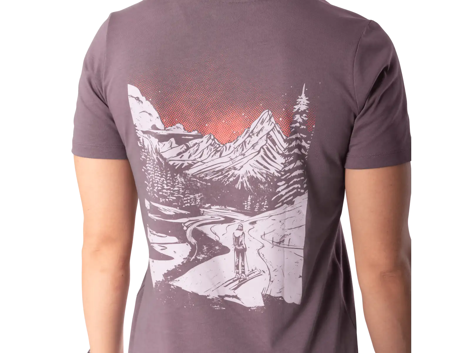 Dynafit Back Graphic Cotton women's T-shirt short sleeve Ephemera/Valley