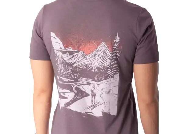 Dynafit Back Graphic Cotton women's T-shirt short sleeve Ephemera/Valley