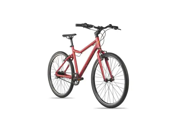 Academy Grade 6 Belt children's bike 26" red