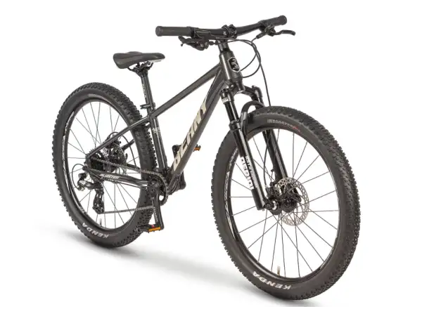 Beany Blaster 24 kids bike Black