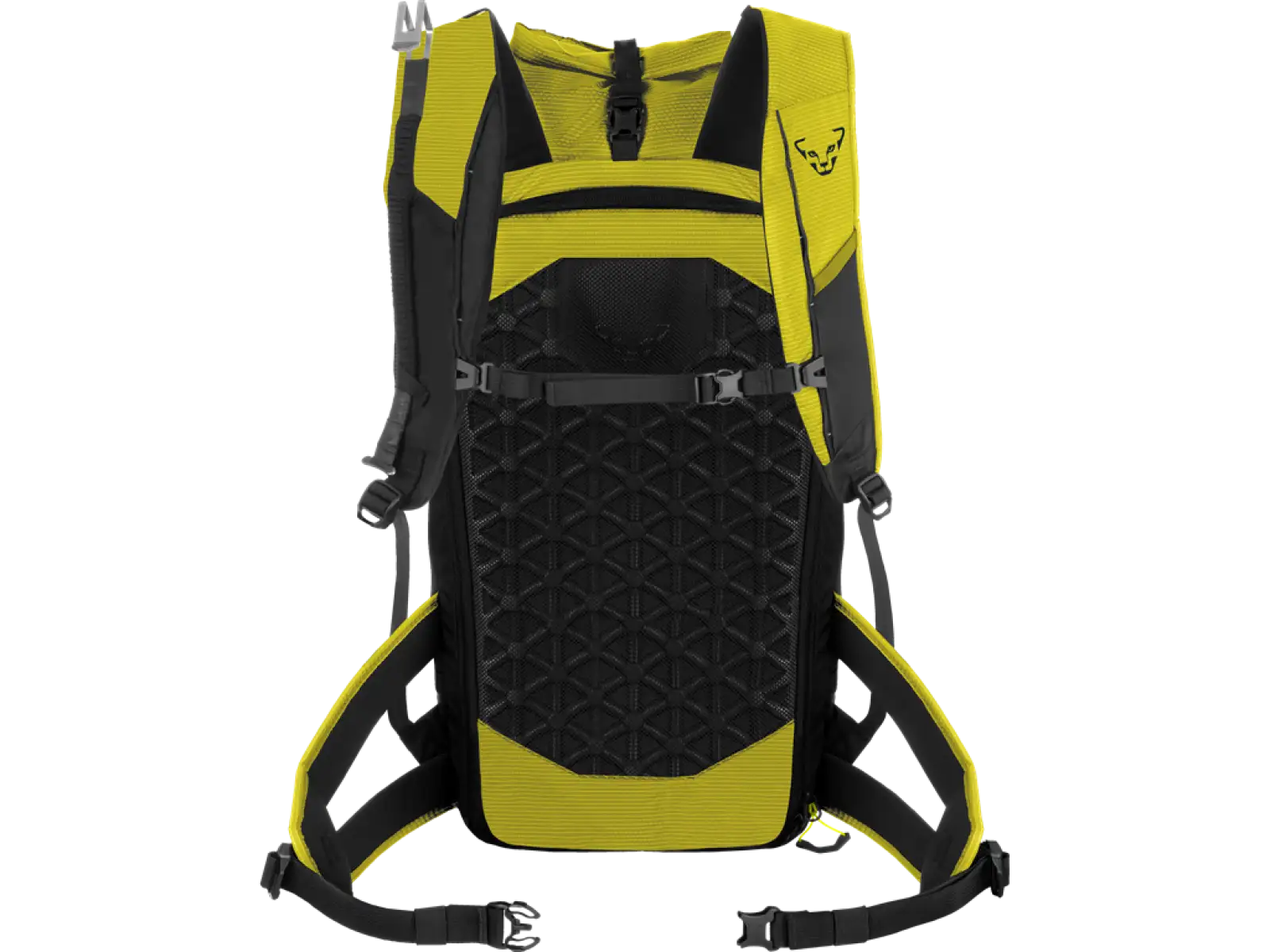 Dynafit Radical 30+ ski mountaineering backpack 30 l Golden Lime/Black Out