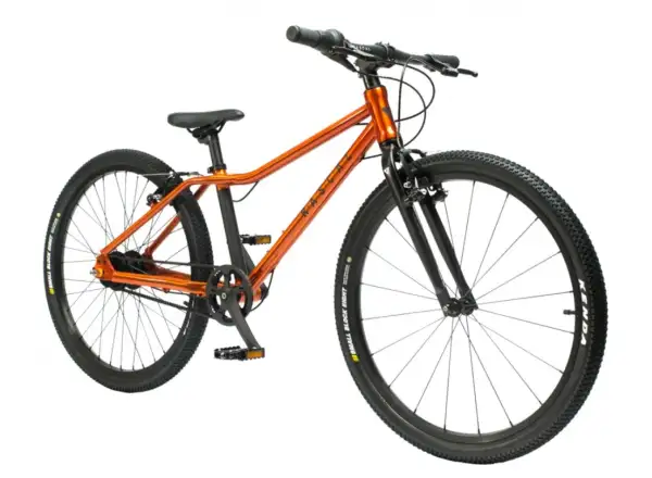 Rascal 26 7 sp. Shimano Nexus children's bike Flame