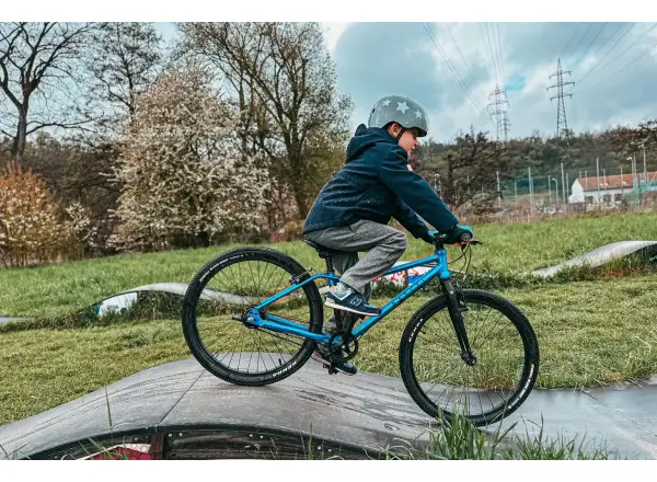 Rascal 24 5 sp. Sturmey Archer children's bike Flame
