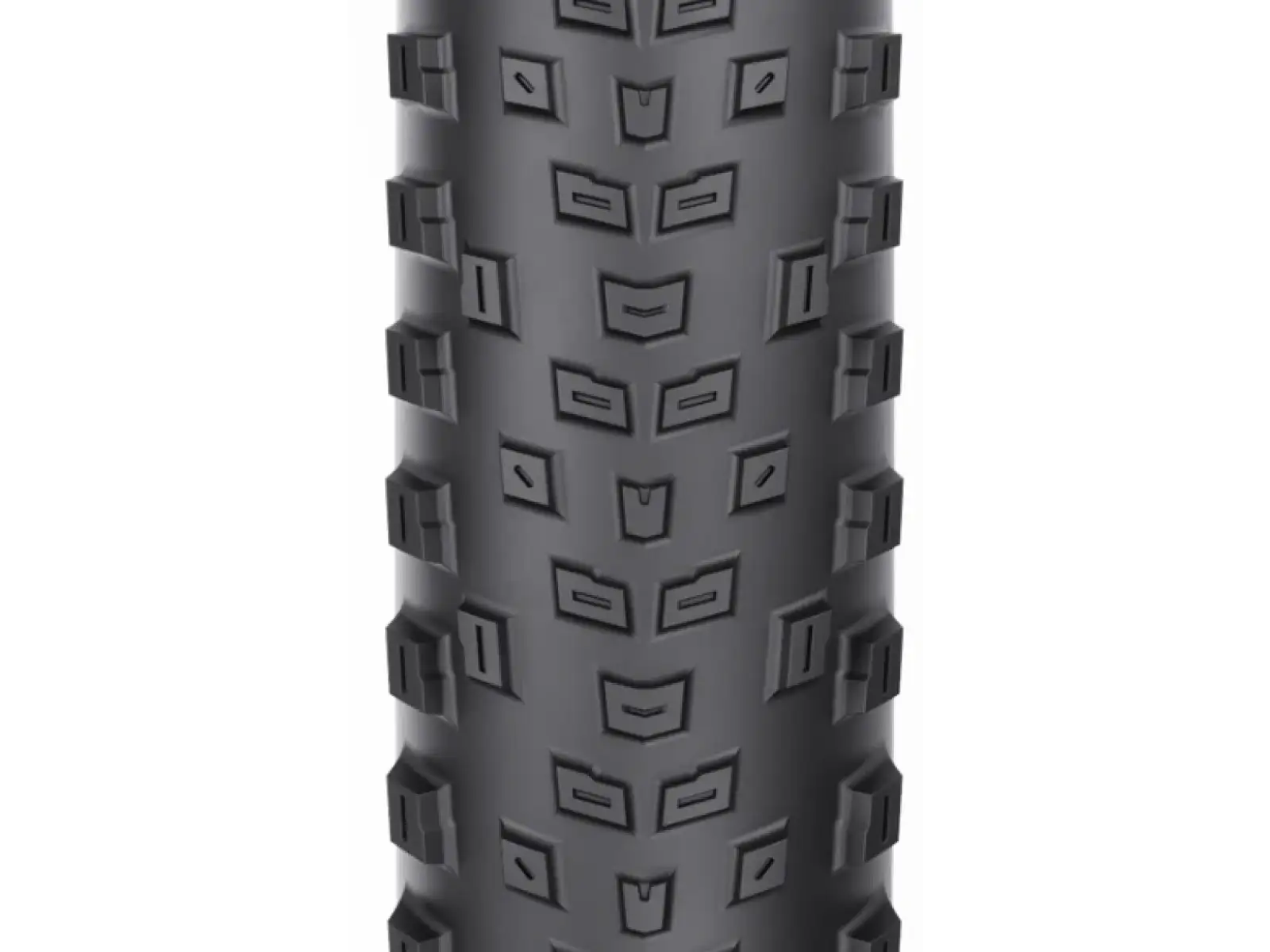 WTB Macro TCS Light Fast Rolling SG 29'' MTB tire kevlar black
