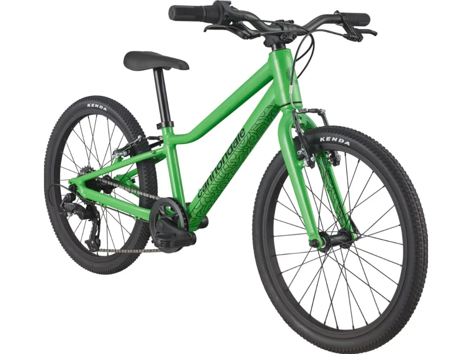 Cannondale Quick 20 children's bike GRN
