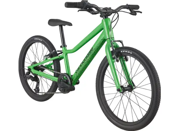 Cannondale Quick 20 children's bike GRN