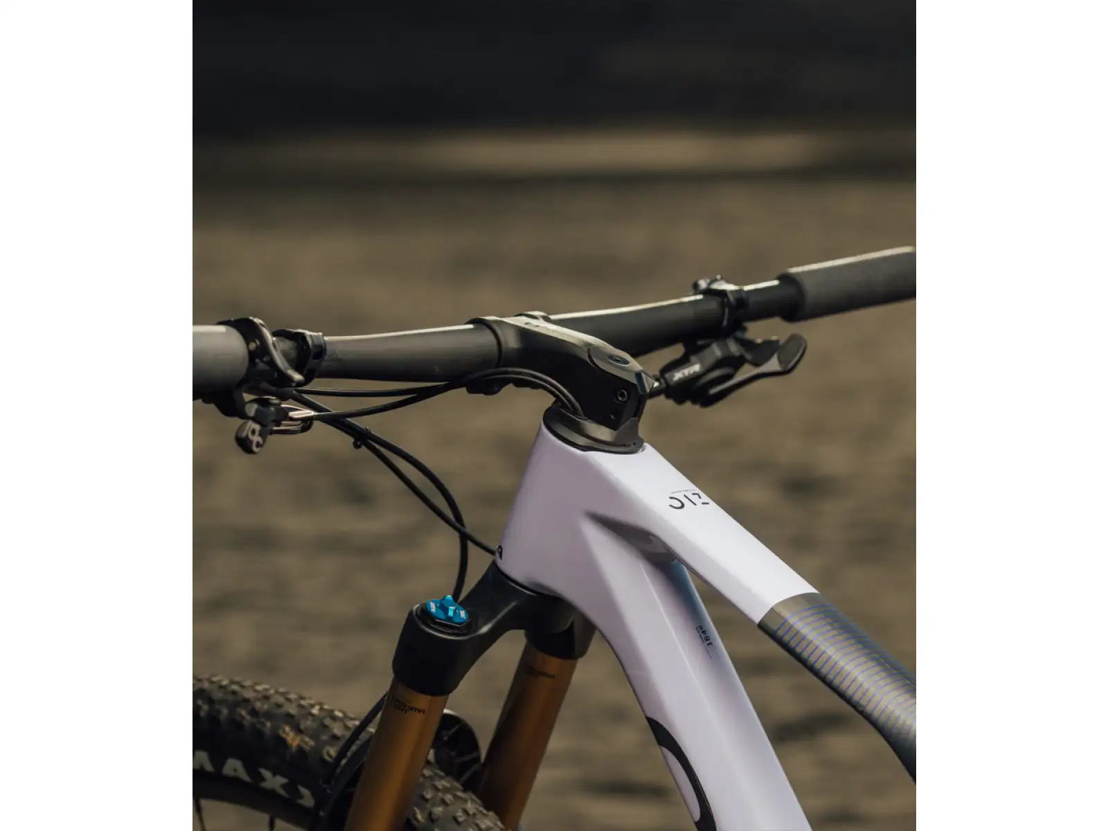 Orbea OIZ M-TEAM AXS Mountain Bike Digital Lavender/Carbon Raw