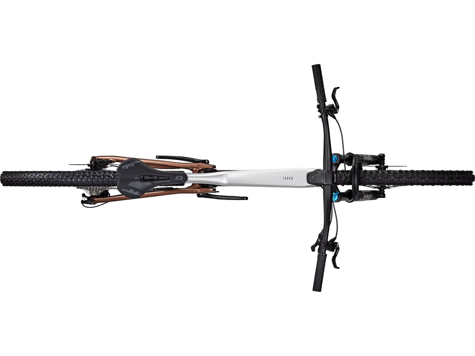 Focus Thron 6.9 mountain bike Nepalsilver/Platinumbronze