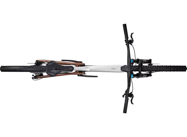 Focus Thron 6.9 mountain bike Nepalsilver/Platinumbronze