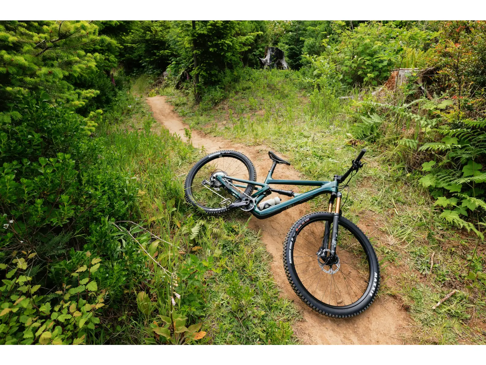 Ibis Ripley V5 XTR Di2 mountain bike Green Flash