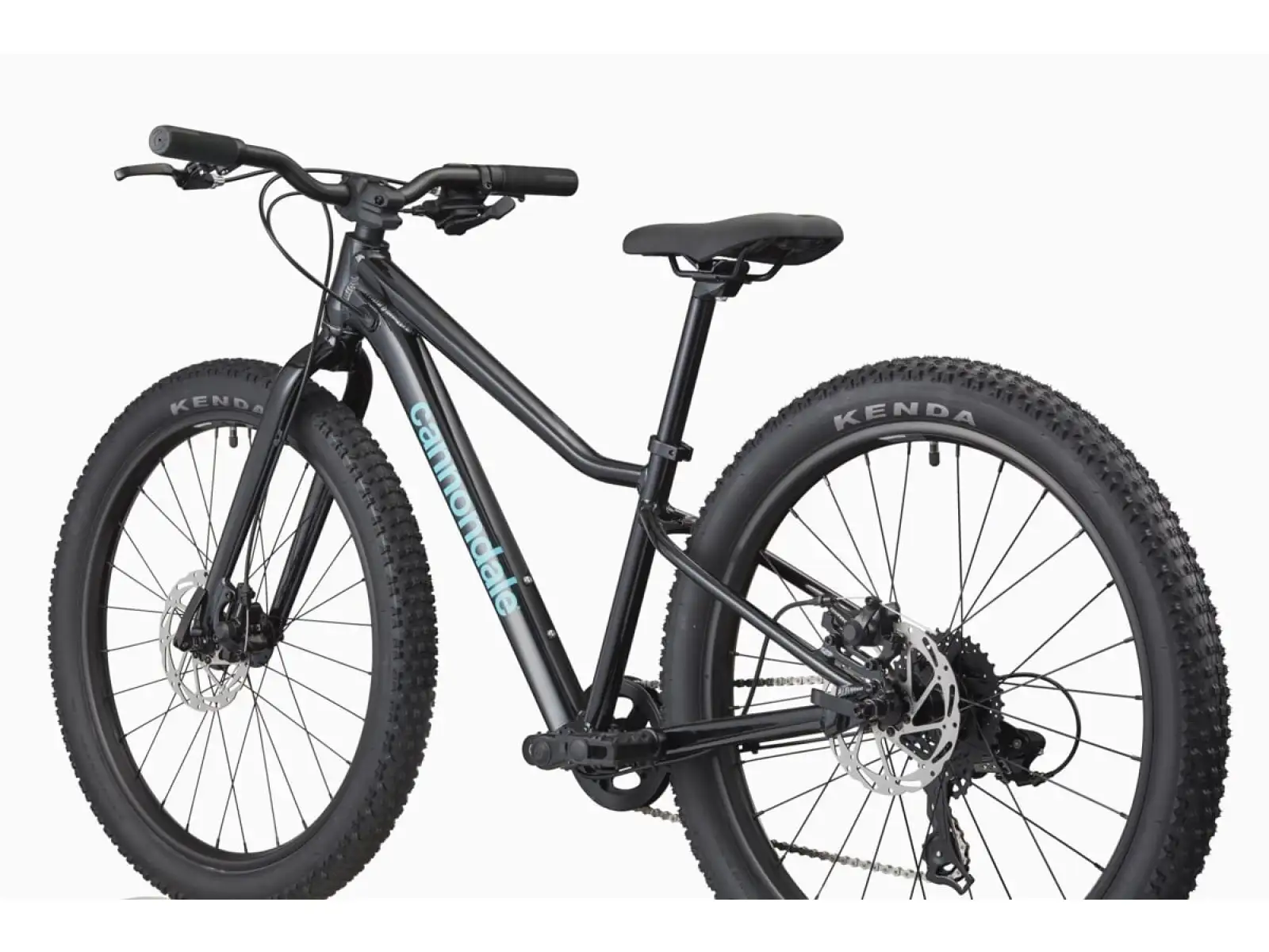 Cannondale Kids Trail Plus 24 children's bike Black Pearl