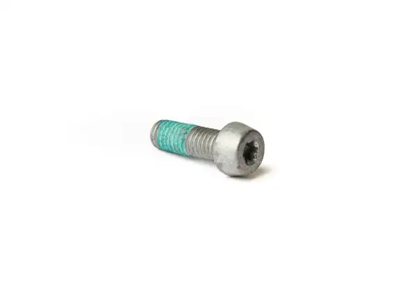 Magura IS T25 M6x18 alu bolt 1 pc