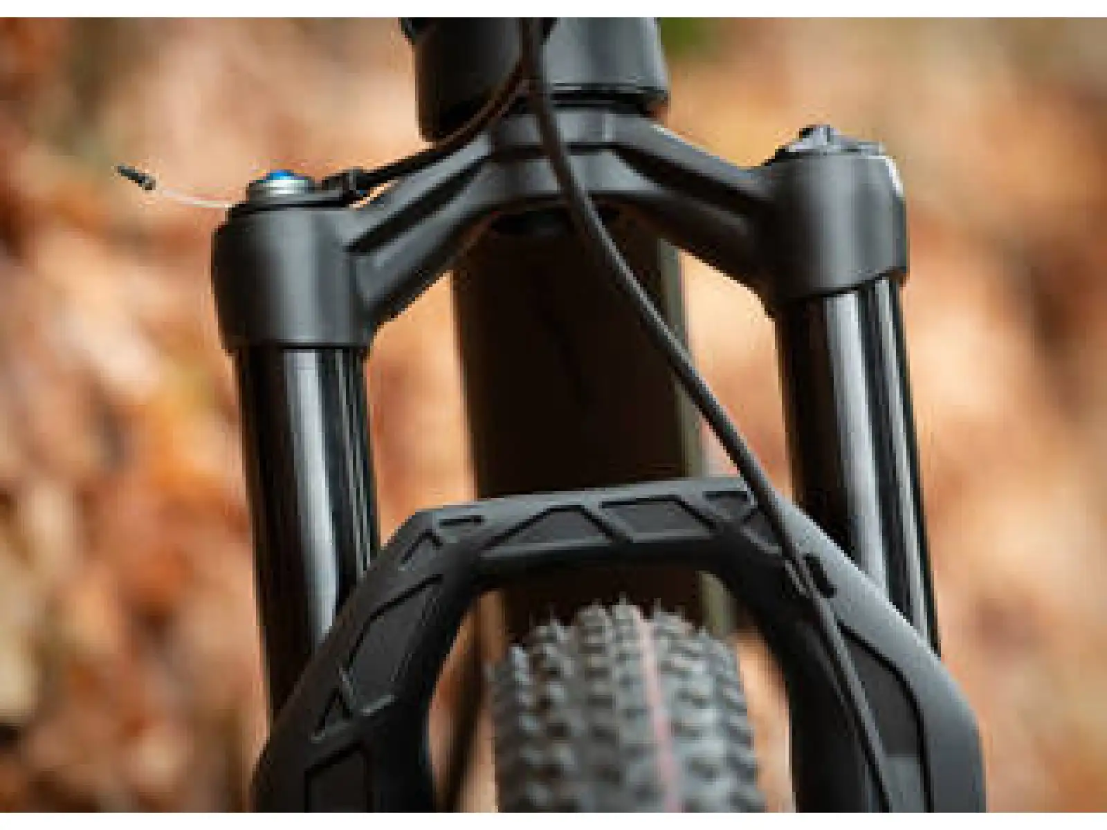Superior Team XF 29 Issue R full suspension mountain bike Matte Carbon/Chrome/Team Red