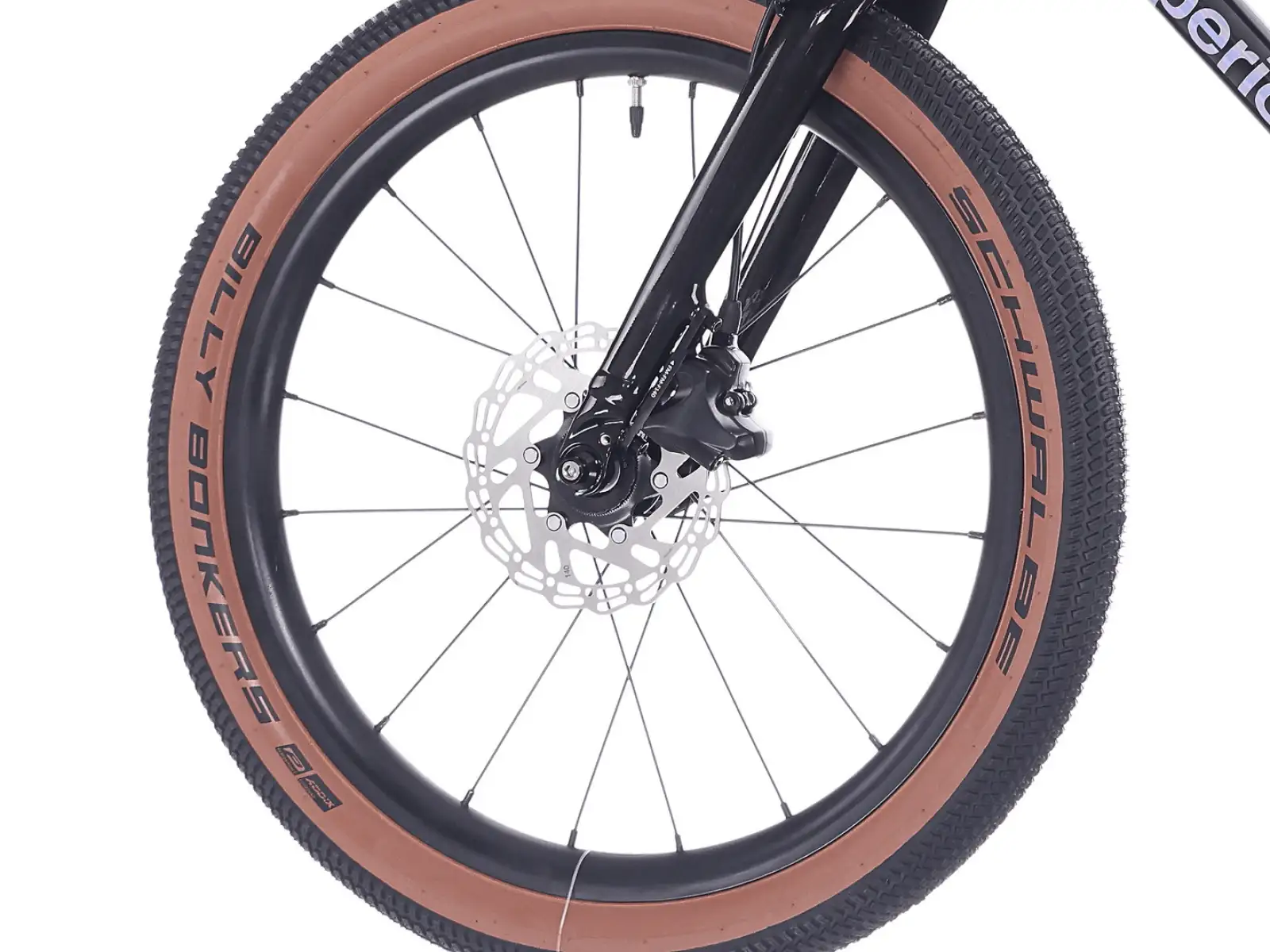 Superior TEAM 20 bike Gloss Brushed Alu / Rainbow Black 9.0"