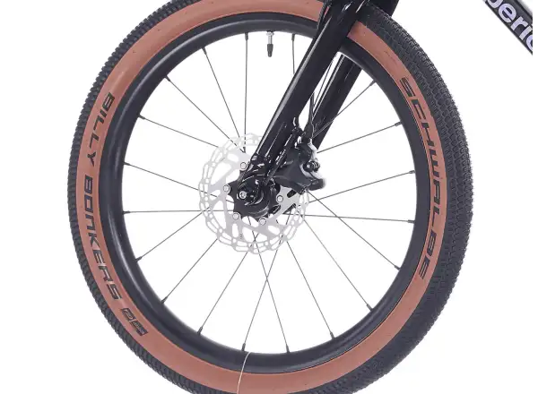 Superior TEAM 20 bike Gloss Brushed Alu / Rainbow Black 9.0"