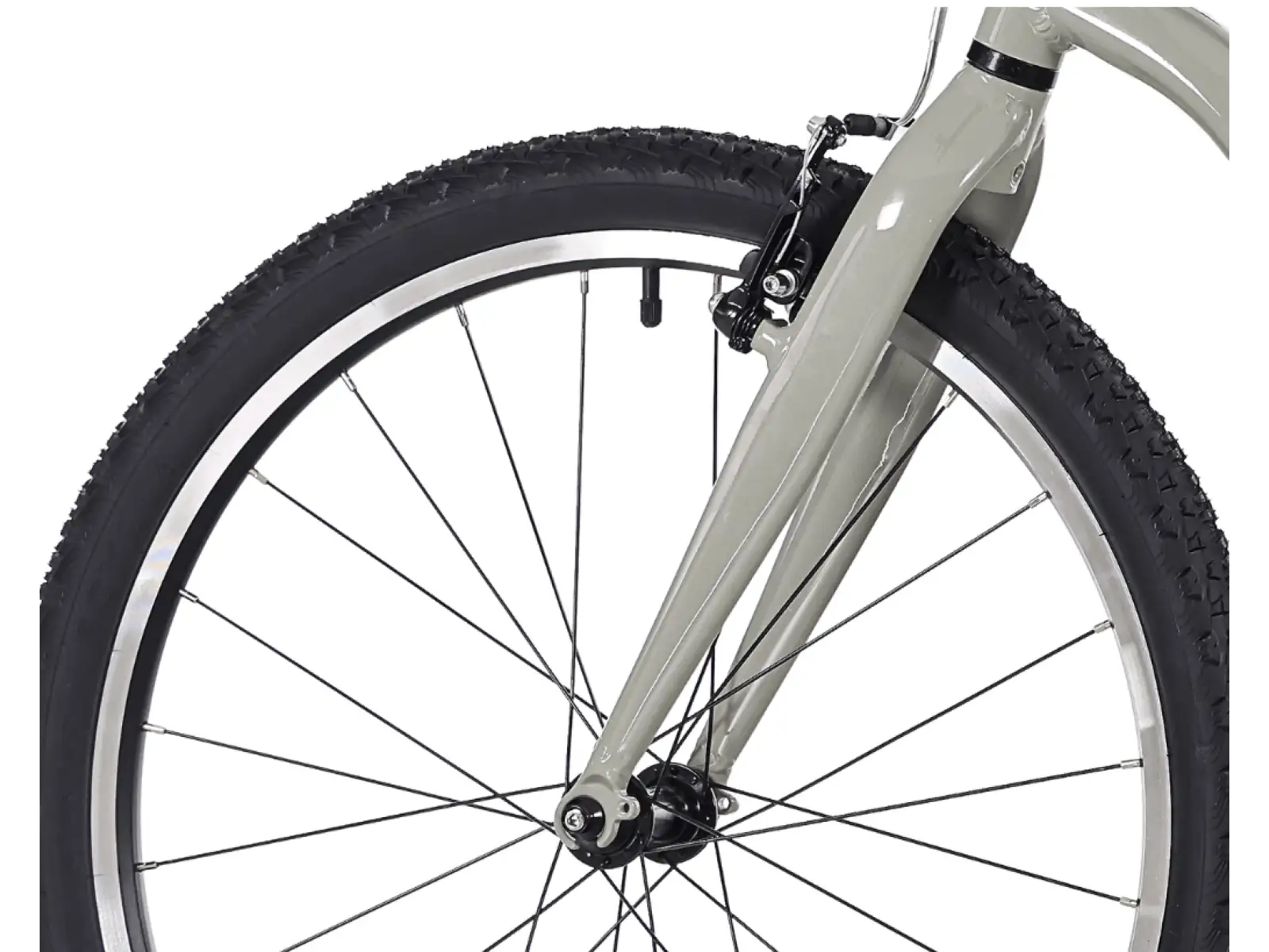Rock Machine RIFF Jr 24 children's bike Gloss Limerock Grey