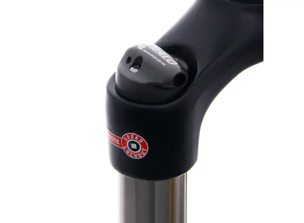 SR Suntour Raidon XC RL-R Disc 15QLC32 29" suspension fork black