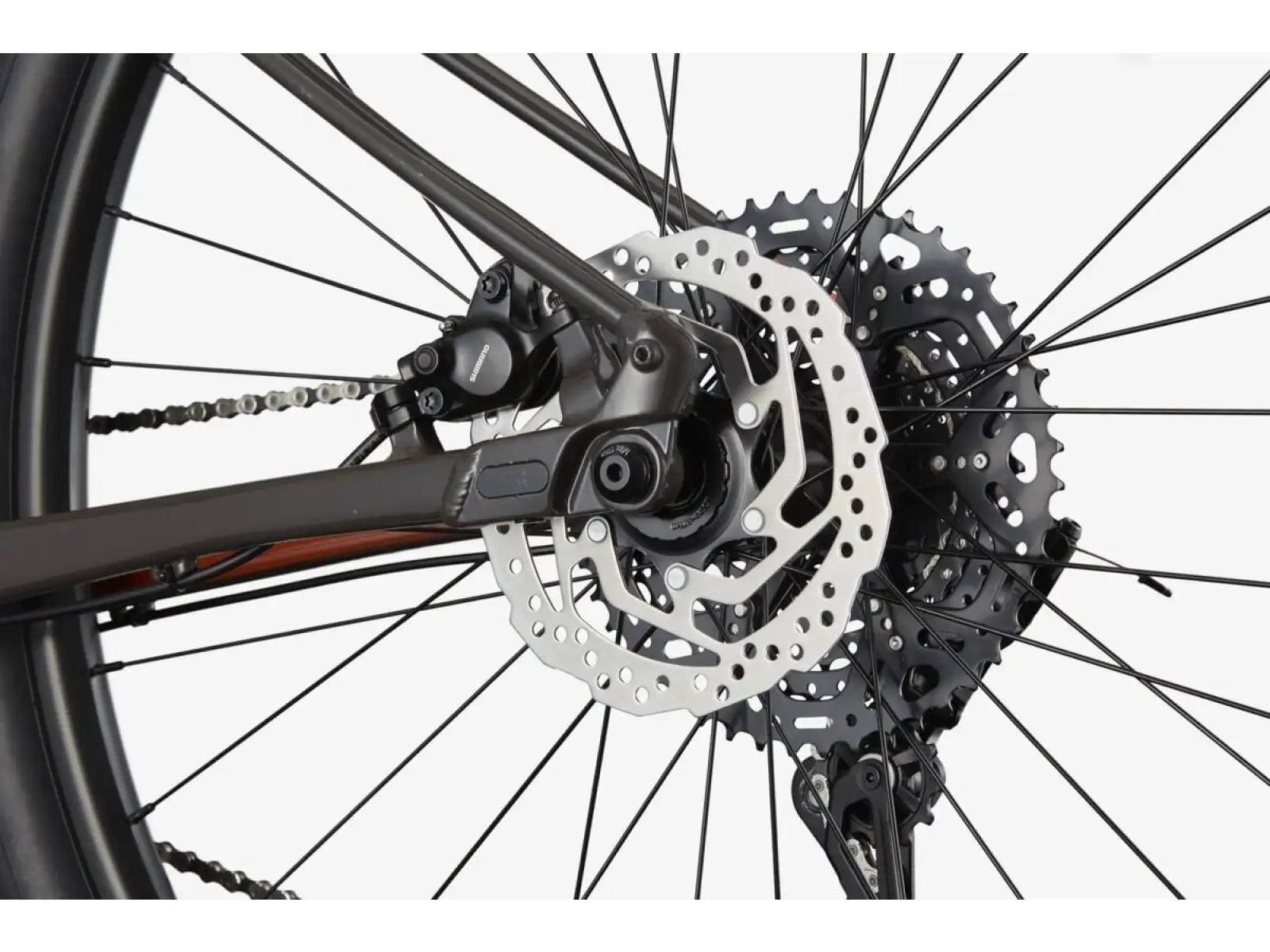 Cannondale Trail SL 4 29" mountain bike Orange