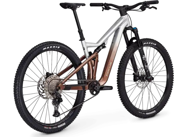 Focus Thron 6.9 mountain bike Nepalsilver/Platinumbronze