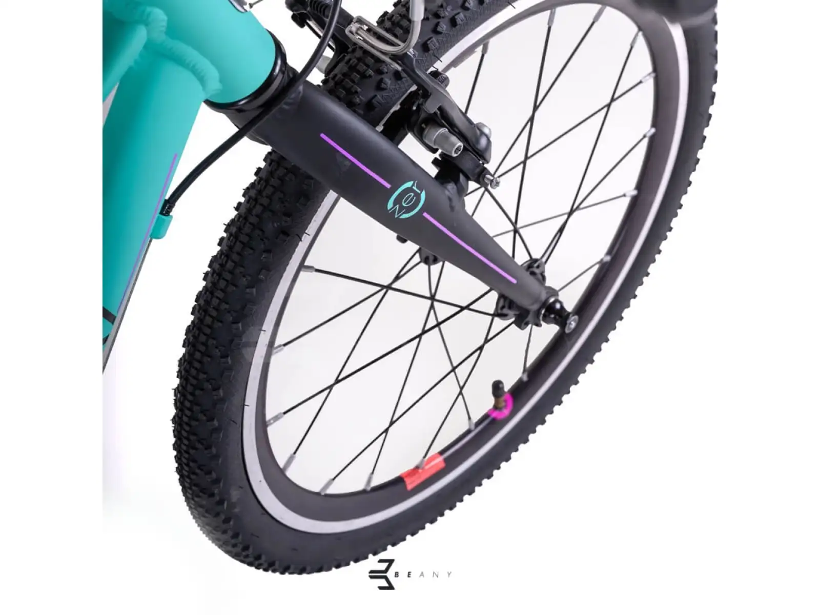 Beany Zero 20 kids bike Mint