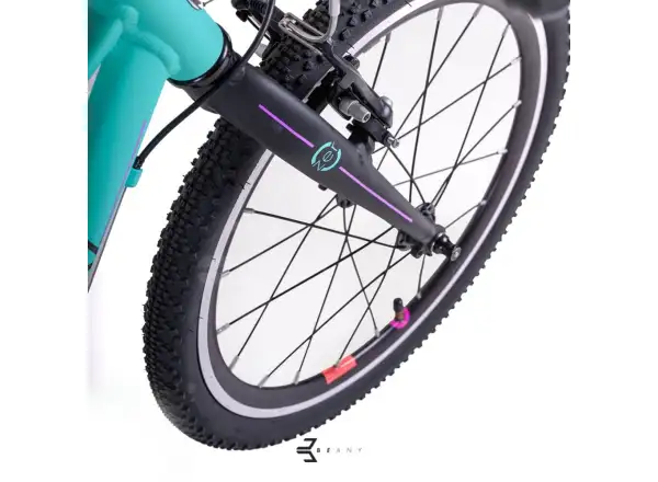 Beany Zero 20 kids bike Mint