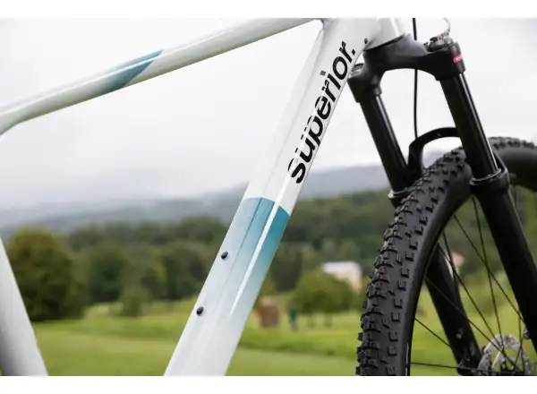 Superior XC 6.2 mountain bike Gloss Grey/Petrol