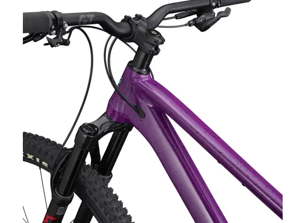 GT Zaskar LT 29 Pro RAS mountain bike