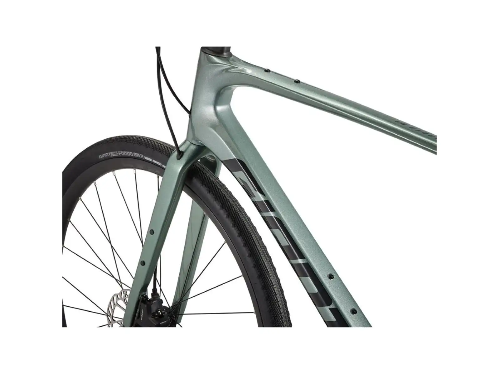 Giant FastRoad AR Advanced 2 fitness bike misty forest
