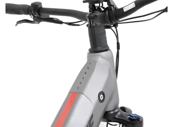 APACHE Rio Grande 1 MX 720 Wh low-step electric bike anthracite