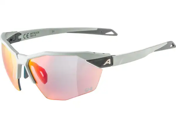 Alpina Twist Six HR QV glasses Smoke Grey Matt
