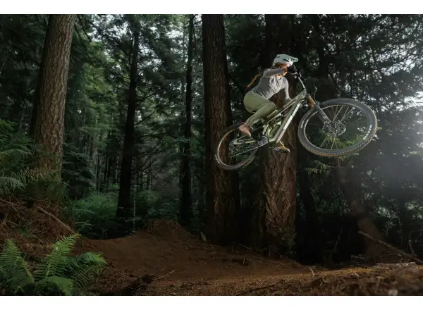 Ibis Ripmo V3 frameset Olive Swamp Monster